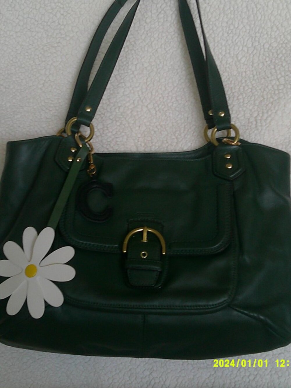 Coach Campbell Carryall in Emerald Green Leather